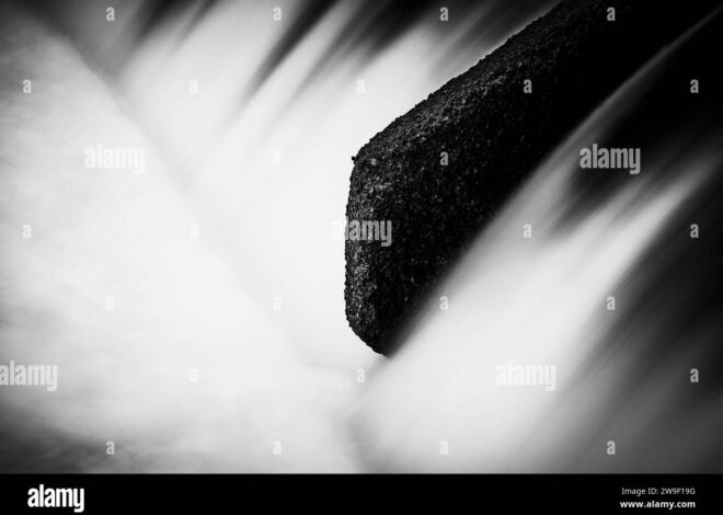 Désastre en Crimée : L’An-26 militaire s’écrase contre une falaise, laissant 30 personnes décédées