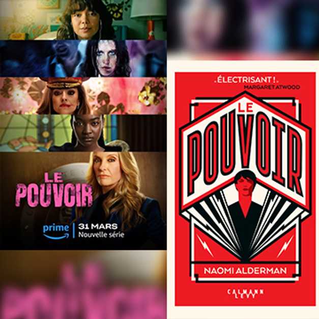 Le singe et le pouvoir : Une affaire qui remet en cause l’identité nationale