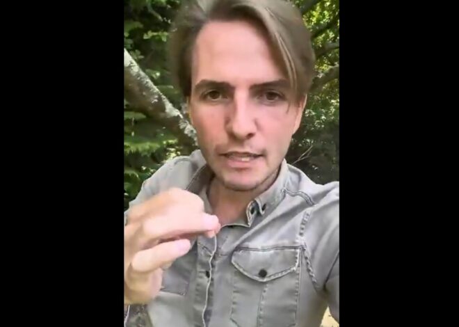 L&rsquo;indépendance en jeu : Erik Tegnér face aux flammes de la justice et du pouvoir