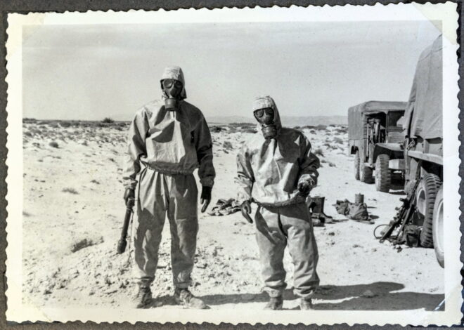 La Fissure qui Déchire l&rsquo;Édifice Public : France Télévisions en Guerre avec Son Propre Avenir