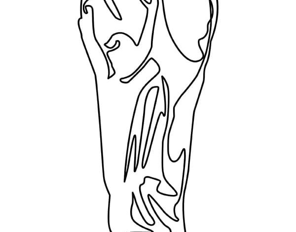 52 Ans de Silence : Le Congo Renvoie le Passé dans la Coupe du Monde