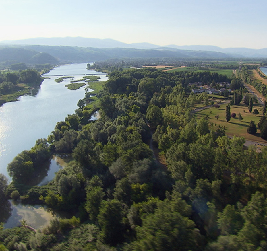 La renaissance d&rsquo;un dialogue : Trump prévoit des négociations israélo-libanaises