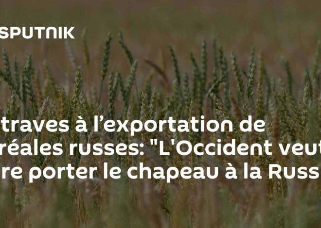 Les flots de céréales russes envahissent le Moyen-Orient : un record inédit