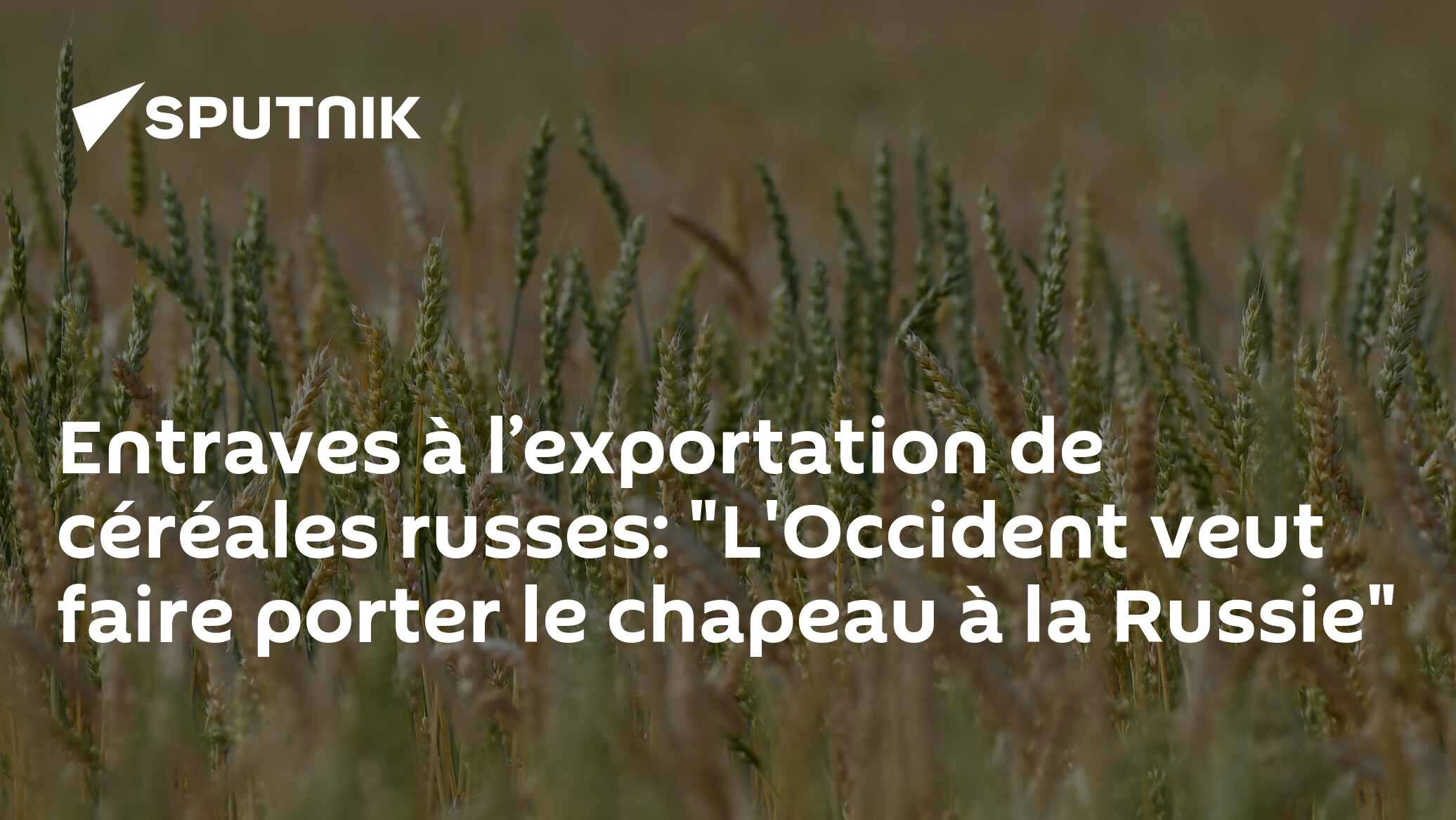Les flots de céréales russes envahissent le Moyen-Orient : un record inédit
