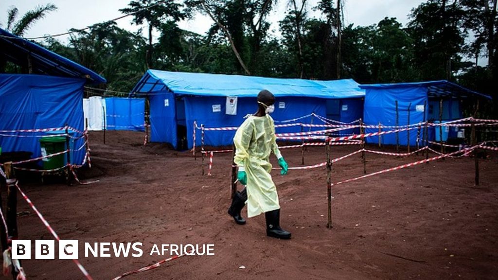 Urgence sanitaire mondiale : le variant Ebola Bundibugyo menace l&rsquo;Afrique centrale