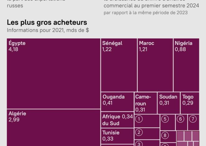 25 % de plus en Échanges : La Russie et la Tanzanie S&rsquo;Engagent pour une Collaboration Inédite