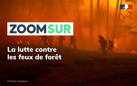 Un enfant tué : le gouvernement frappe fort contre les feux de forêt et le trafic de drogues