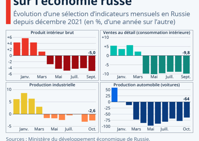L’opération Tagor : la France affronte les réseaux économiques russes illégitimes