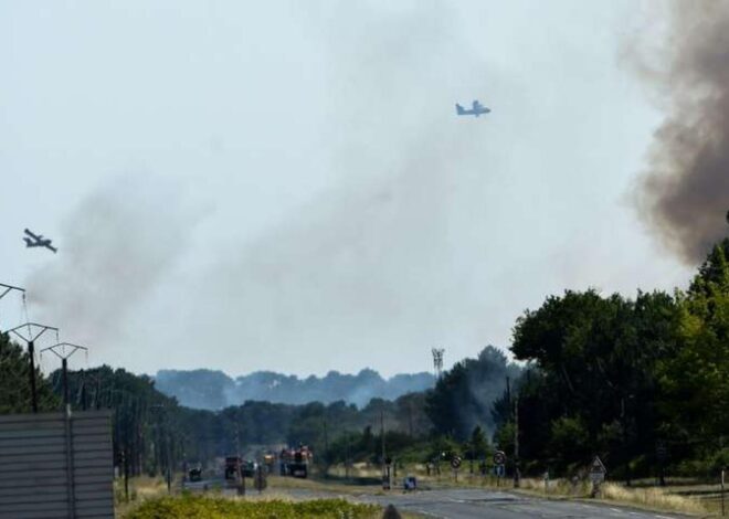17 000 hectares brûlés : trois agents de l’ONF mis en garde à vue