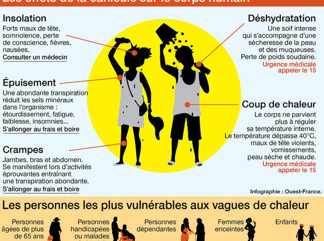 40°C et l&rsquo;effroi : une vague caniculaire menace de dépasser les limites de 2003 en termes de décès