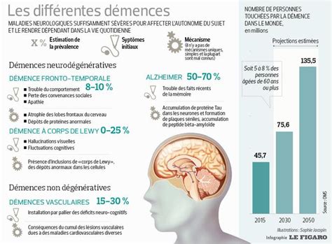 La main gauche, votre secret anti-démence : pourquoi l&rsquo;inverse de vos habitudes quotidiennes est essentiel pour le cerveau