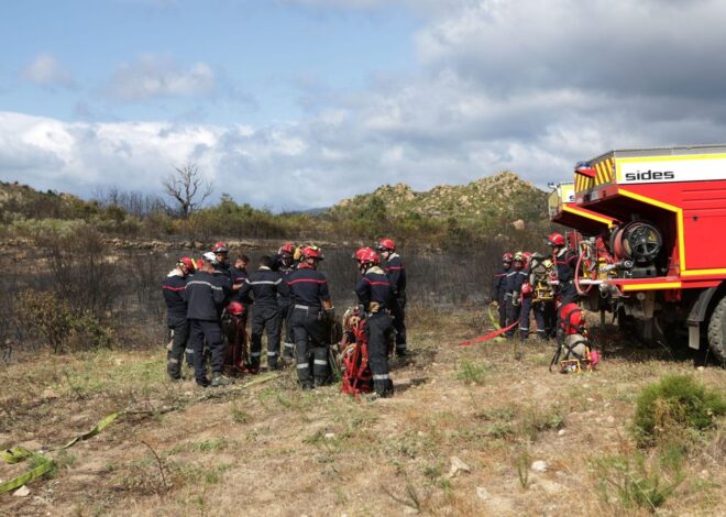 Six personnes arrêtées pour des actes d&rsquo;incendie dans les Pyrénées-Orientales