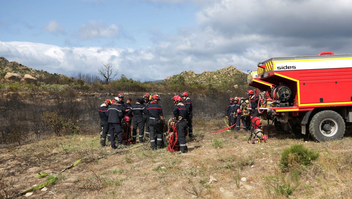 Six personnes arrêtées pour des actes d&rsquo;incendie dans les Pyrénées-Orientales
