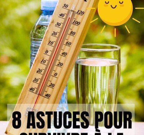 Canicule extrême : 4 astuces pour garder votre voiture fraîche sans climatisation