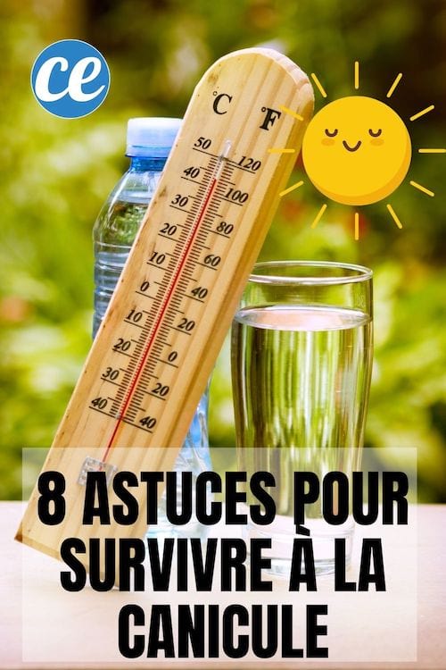 Canicule extrême : 4 astuces pour garder votre voiture fraîche sans climatisation