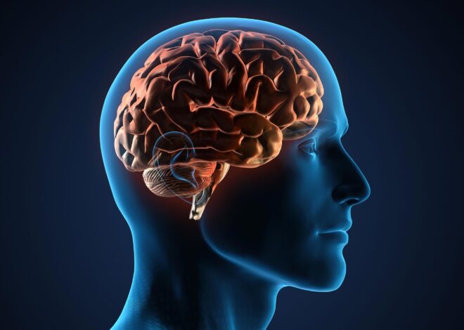 L’exercice cérébral invisible qui ralentit le vieillissement mental