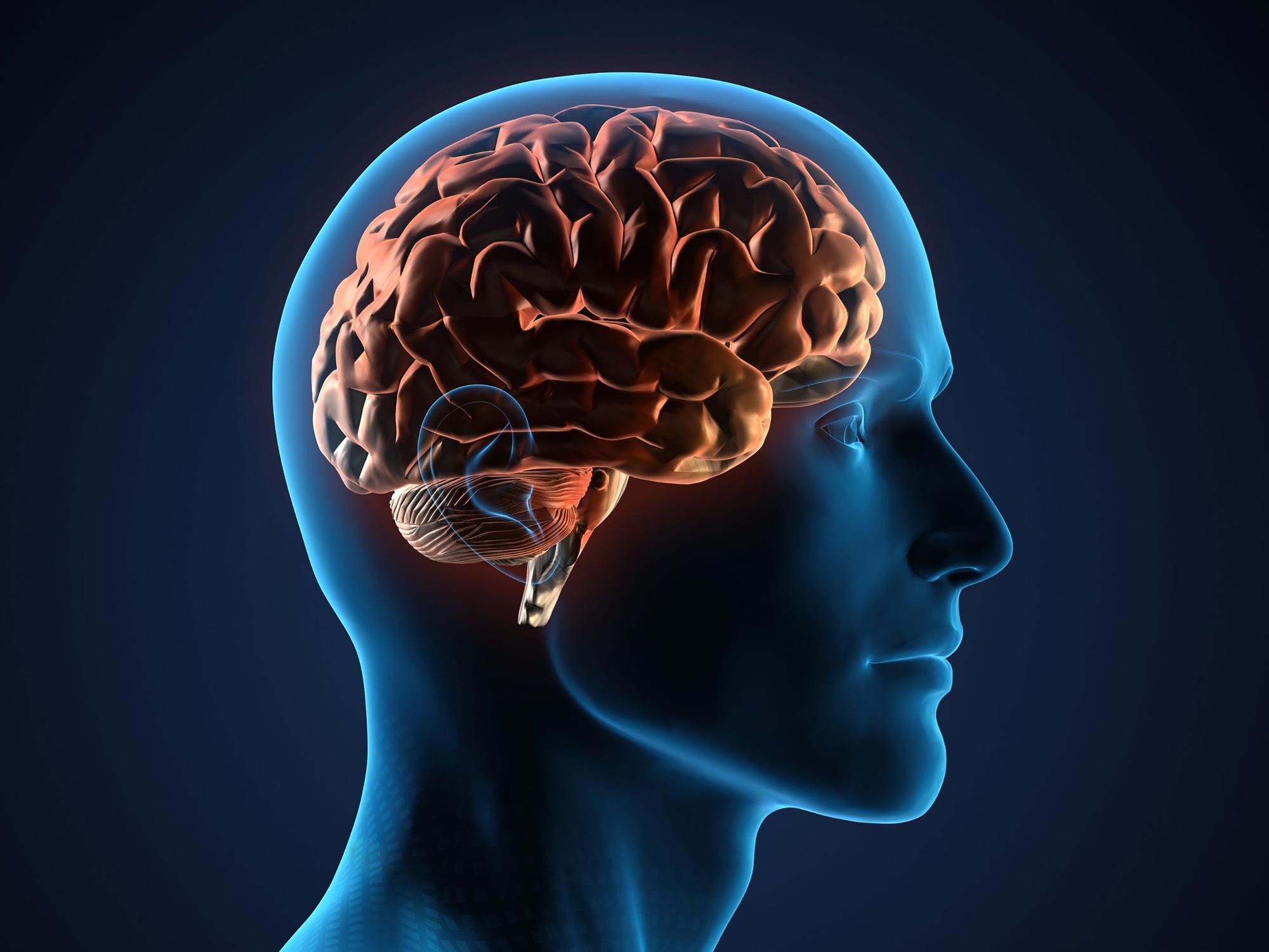 L’exercice cérébral invisible qui ralentit le vieillissement mental