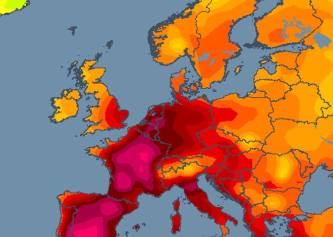 Épisode caniculaire historique en Europe : 1 300 décès et un record thermique de 41,1°C à Doksany