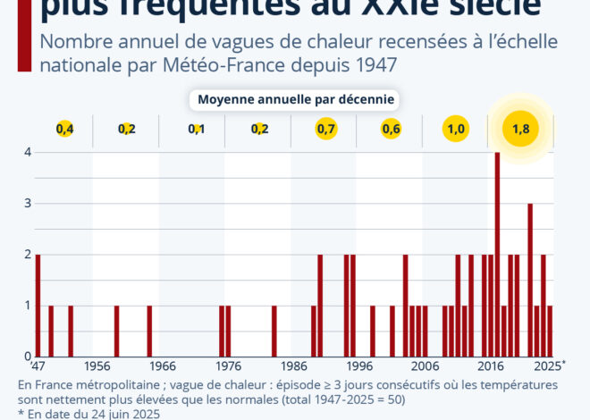 La canicule française déclenche une vague mortelle : plus de mille décès supplémentaires en sept jours
