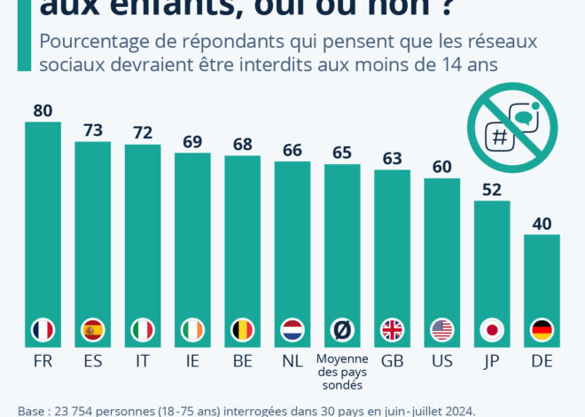 L&rsquo;interdiction des réseaux sociaux : une victoire politique éclatée par le Conseil constitutionnel