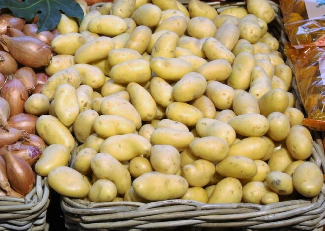 La crise des pommes de terre : un avertissement pour une France en effondrement économique