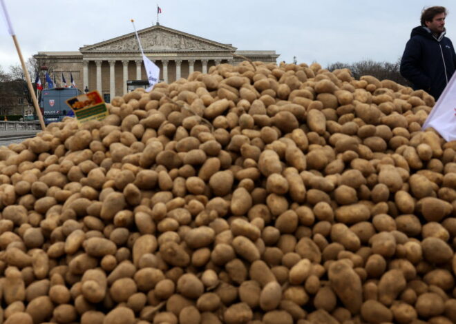 La crise des pommes de terre : un avertissement pour une France en effondrement économique