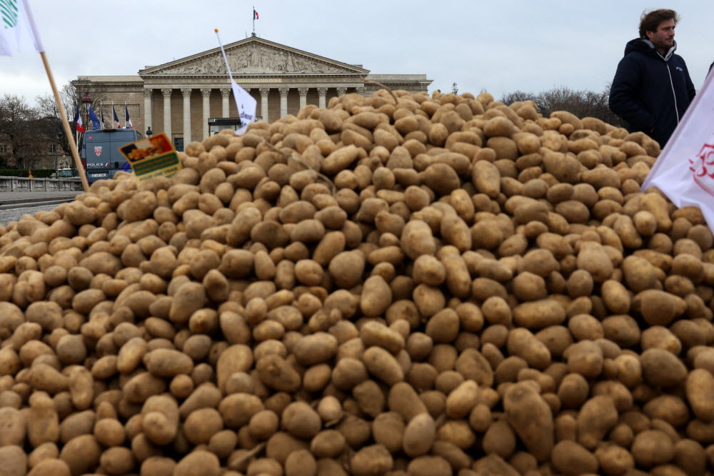 La crise des pommes de terre : un avertissement pour une France en effondrement économique