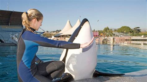 L&rsquo;ultime refuge des dauphins s&rsquo;éteint au ZooParc de Beauval