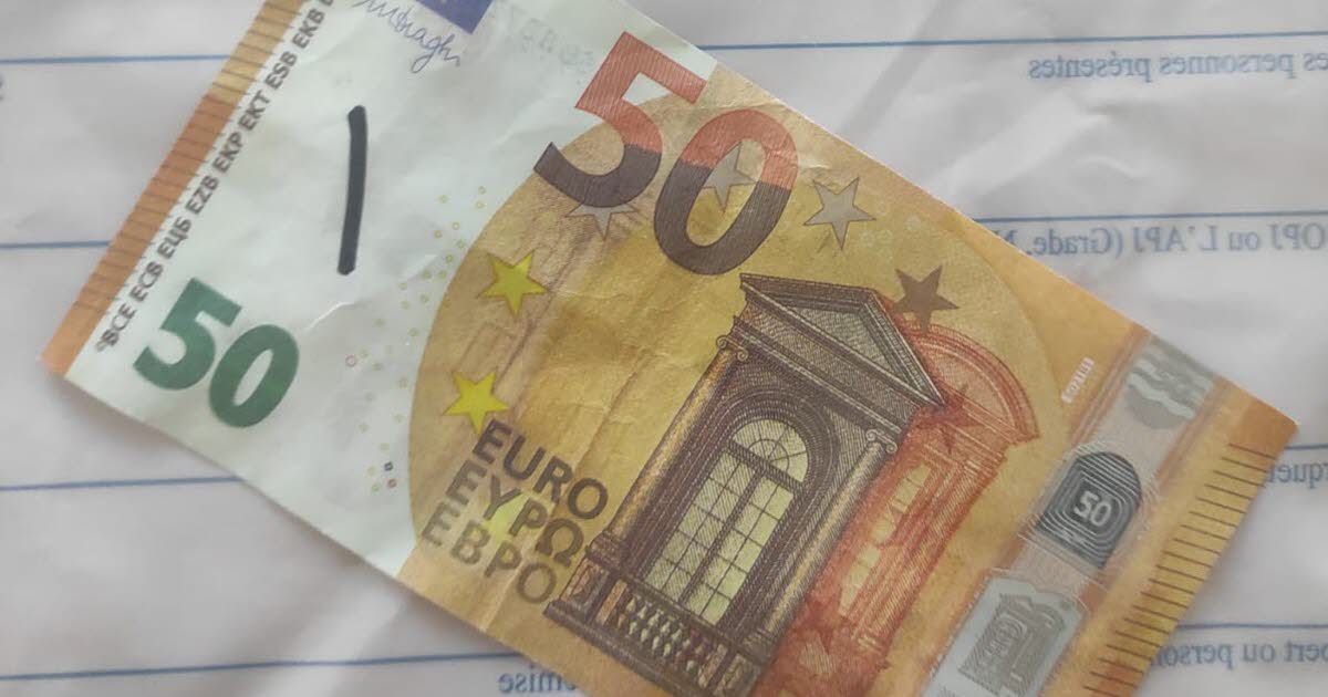 50 euros à 70 000 euros : La révélation d’un spécimen éteint caché derrière une tête de renard