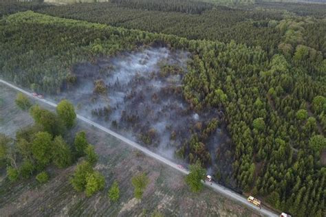L&rsquo;incendie des Ardennes : 100 hectares brûlés et des zones supplémentaires en danger