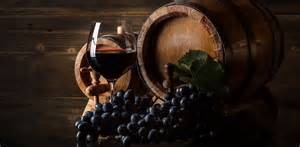 Champagne 2026 : L&rsquo;urgence climatique et l&rsquo;augmentation spectaculaire de l&rsquo;alcool dans les vins