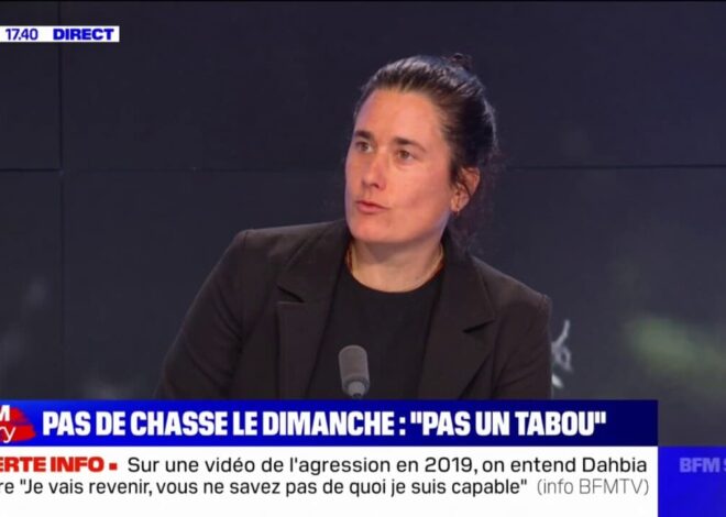 L’animalisme à l’épreuve : Mira Markovic défend les droits des créatures oubliées avant les élections 2027