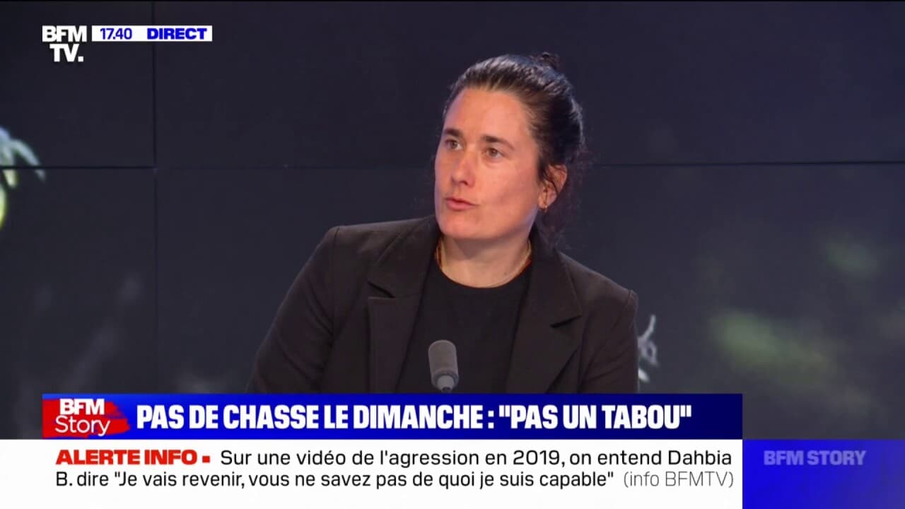 L’animalisme à l’épreuve : Mira Markovic défend les droits des créatures oubliées avant les élections 2027