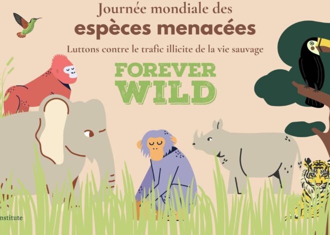 138 animaux saisis en moins de deux mois : le trafic clandestin des espèces menacées menace la planète