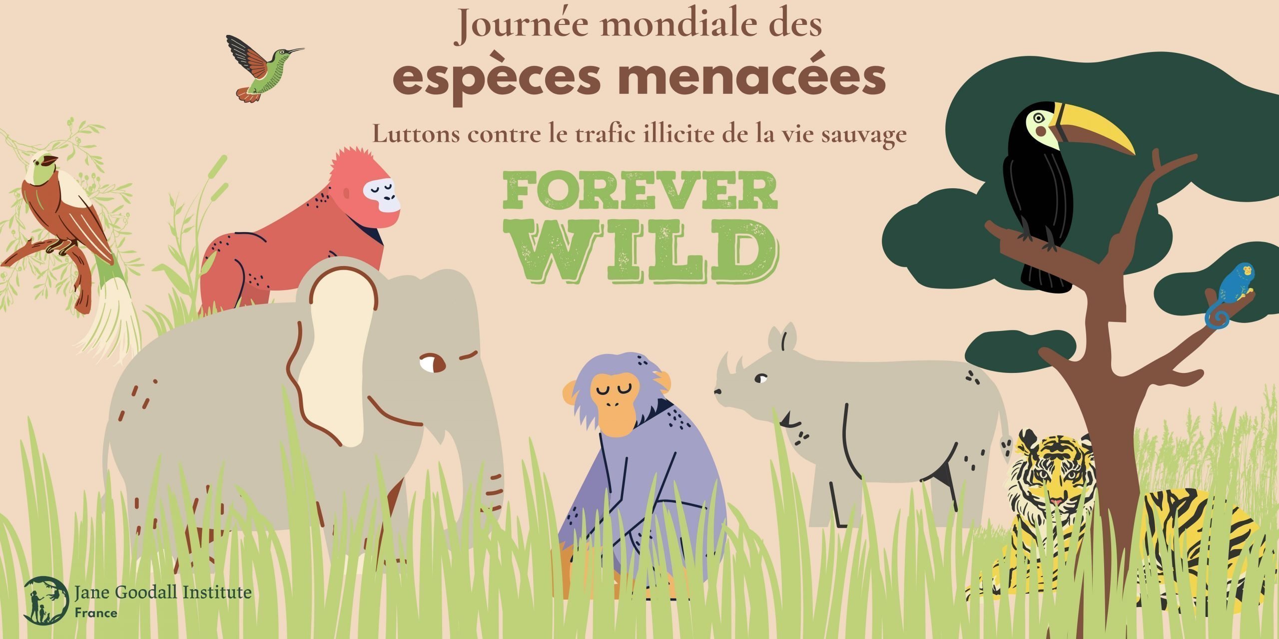 138 animaux saisis en moins de deux mois : le trafic clandestin des espèces menacées menace la planète